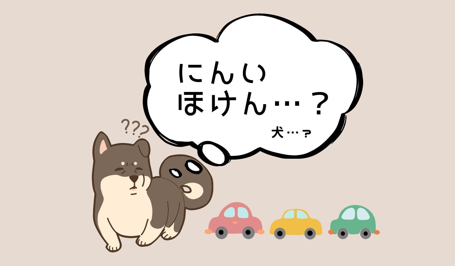 なぜカーリースに任意保険が必要なの?