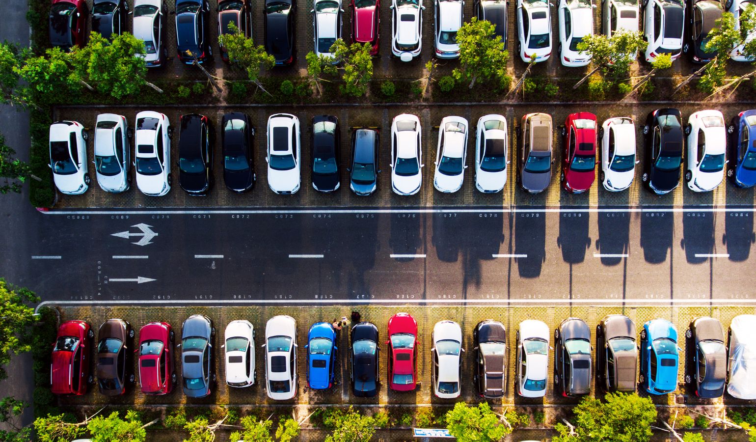 新古車とは?新車や中古車との違いのイメージ