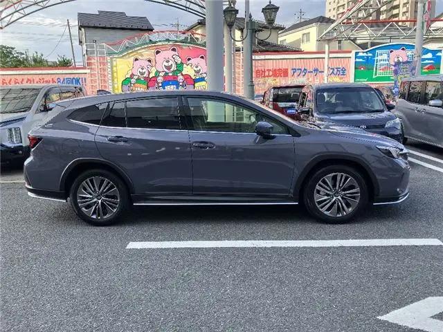 スバルレイバック