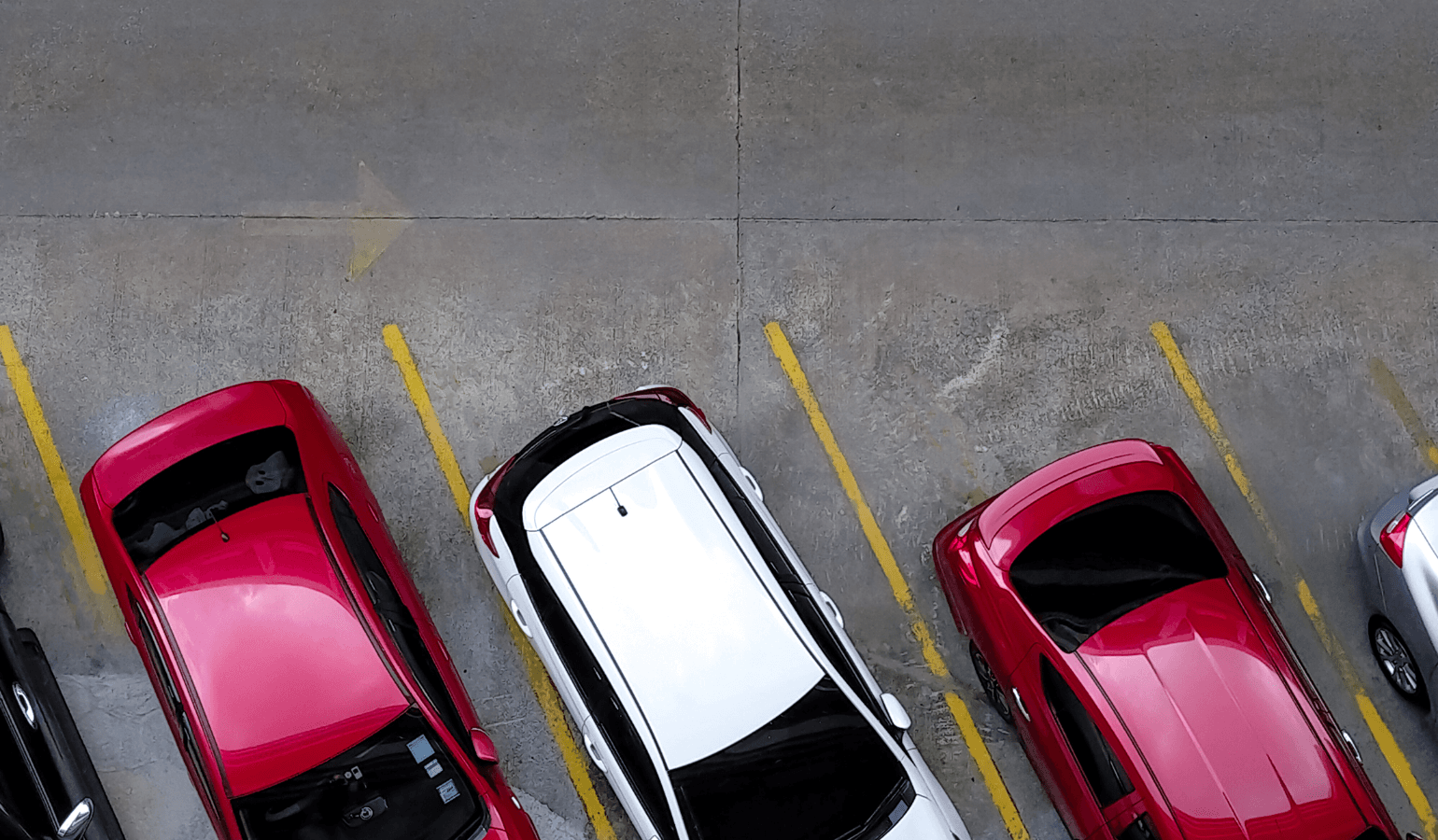 駐車場に陳列された車
